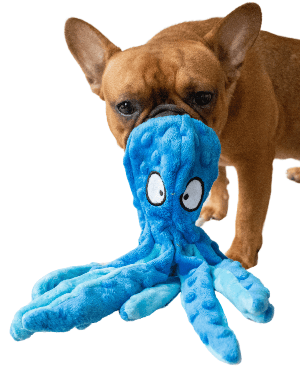 Blue octopus cheap dog toy