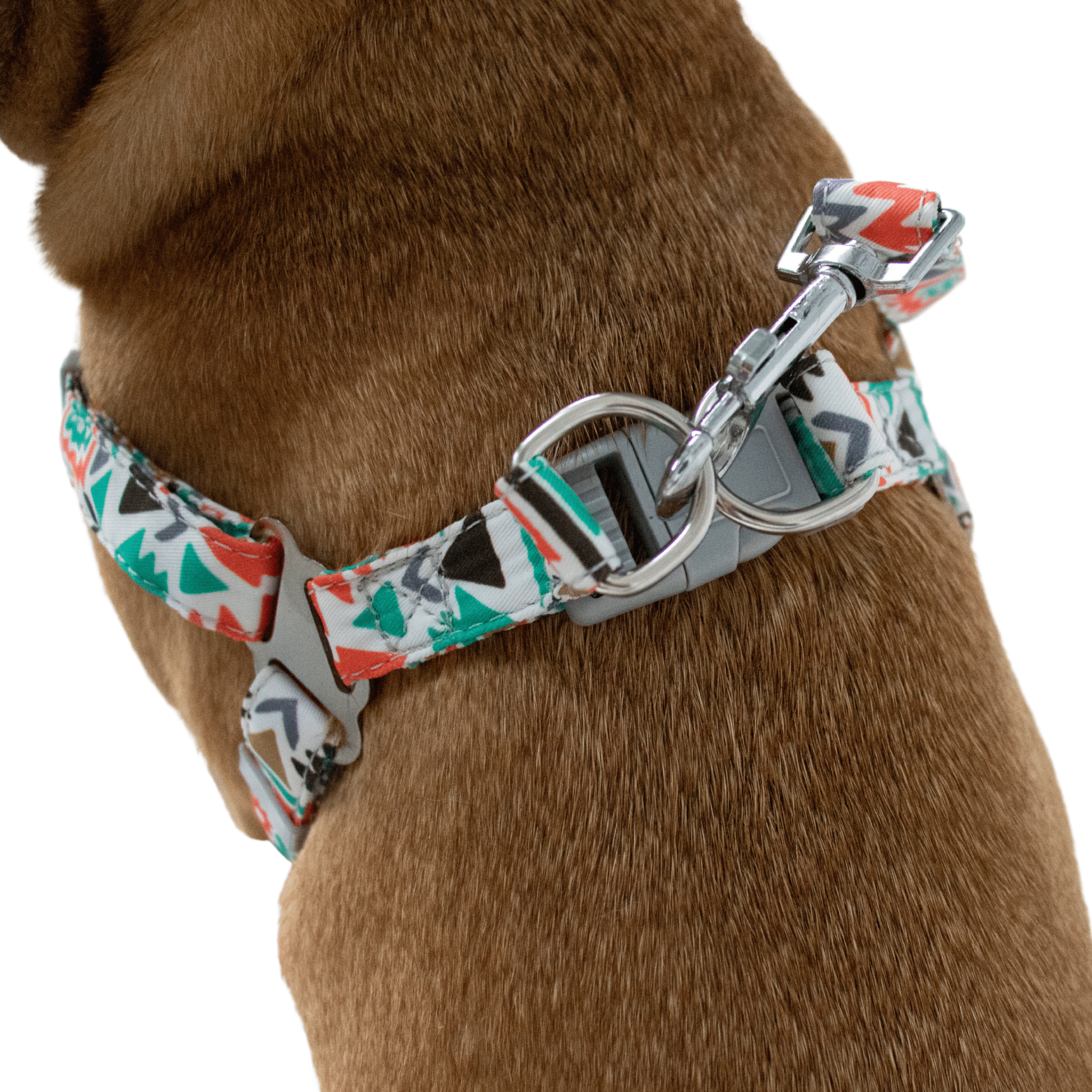 French Bulldog harness