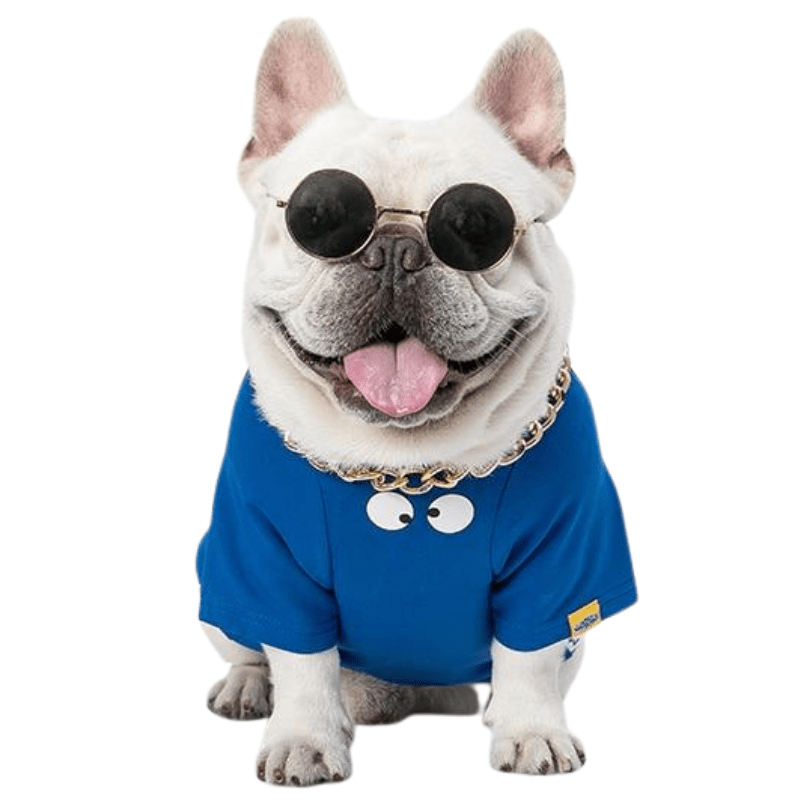 french bulldog sunglasses