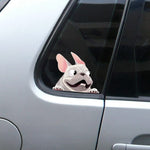 Load image into Gallery viewer, french bulldog car decal
