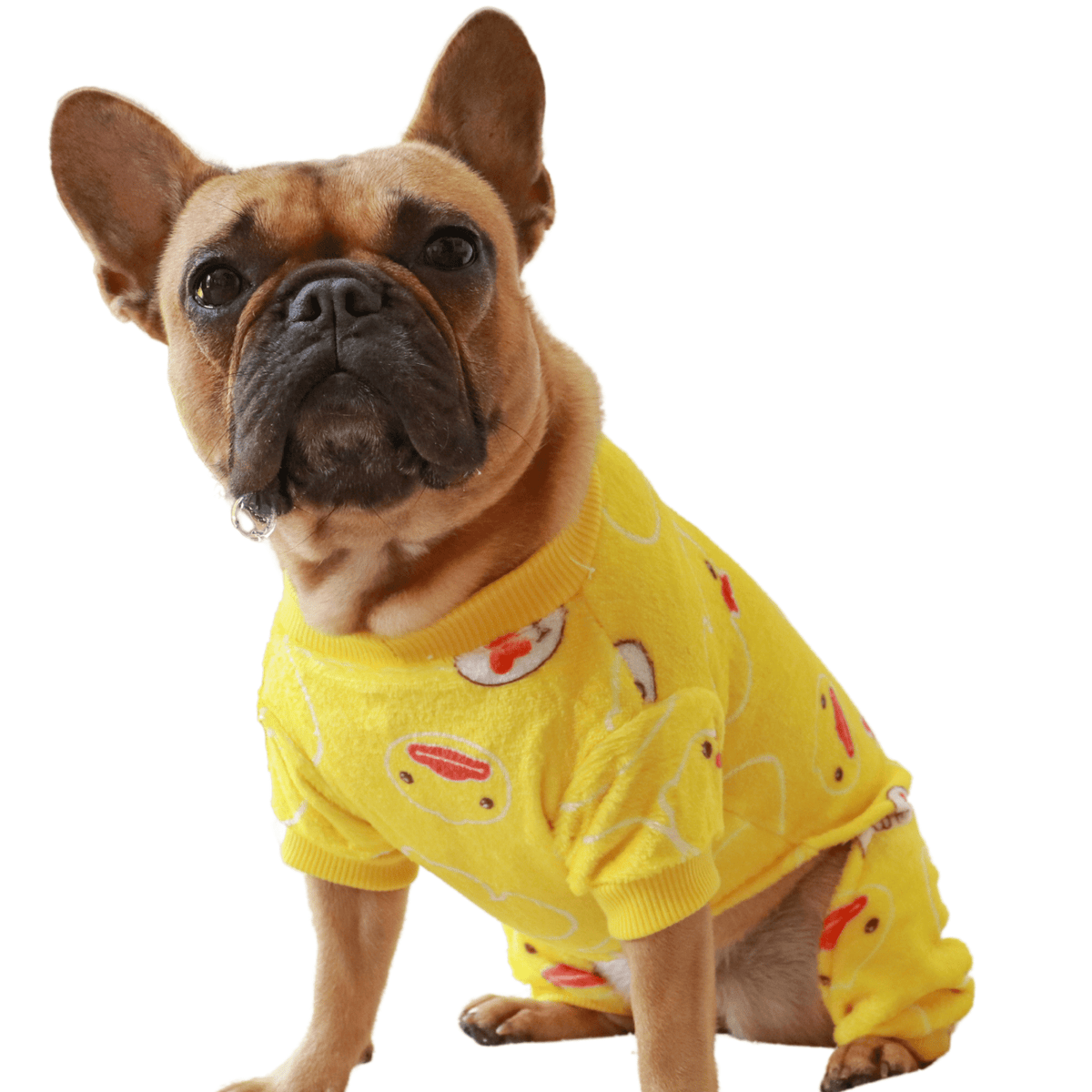 Duck Dog Pajamas - PUCCI Café