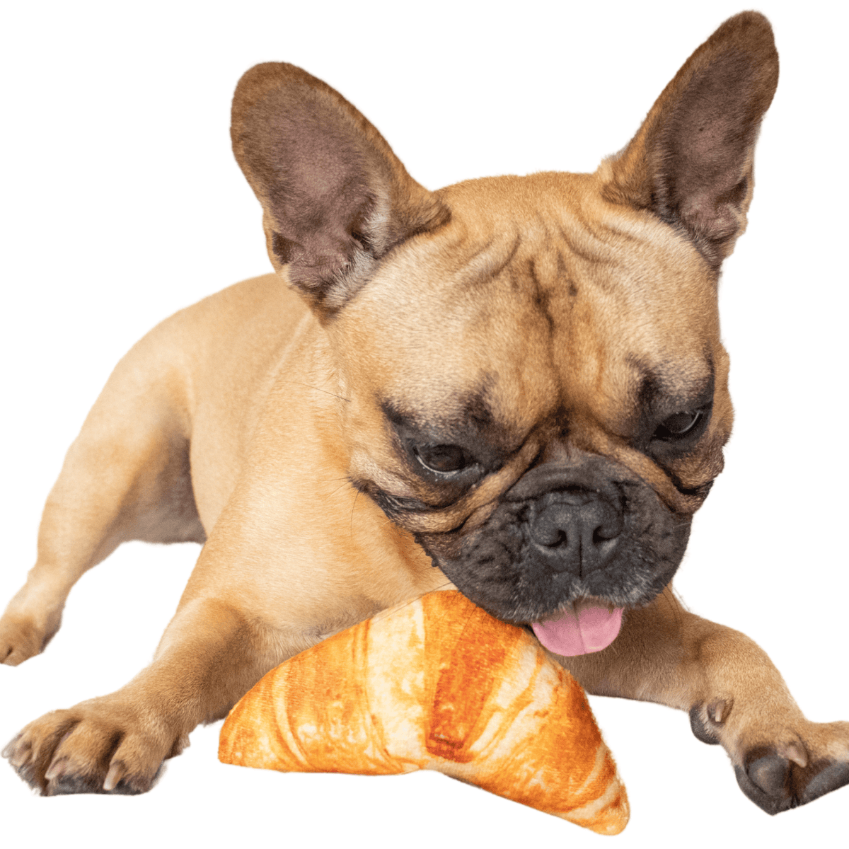 Croissant Chew and Sniff Plush Dog Toy for Small Dogs