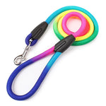 Load image into Gallery viewer, rainbow dog leash
