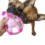 Load image into Gallery viewer, plush pig dog toy - french bulldog
