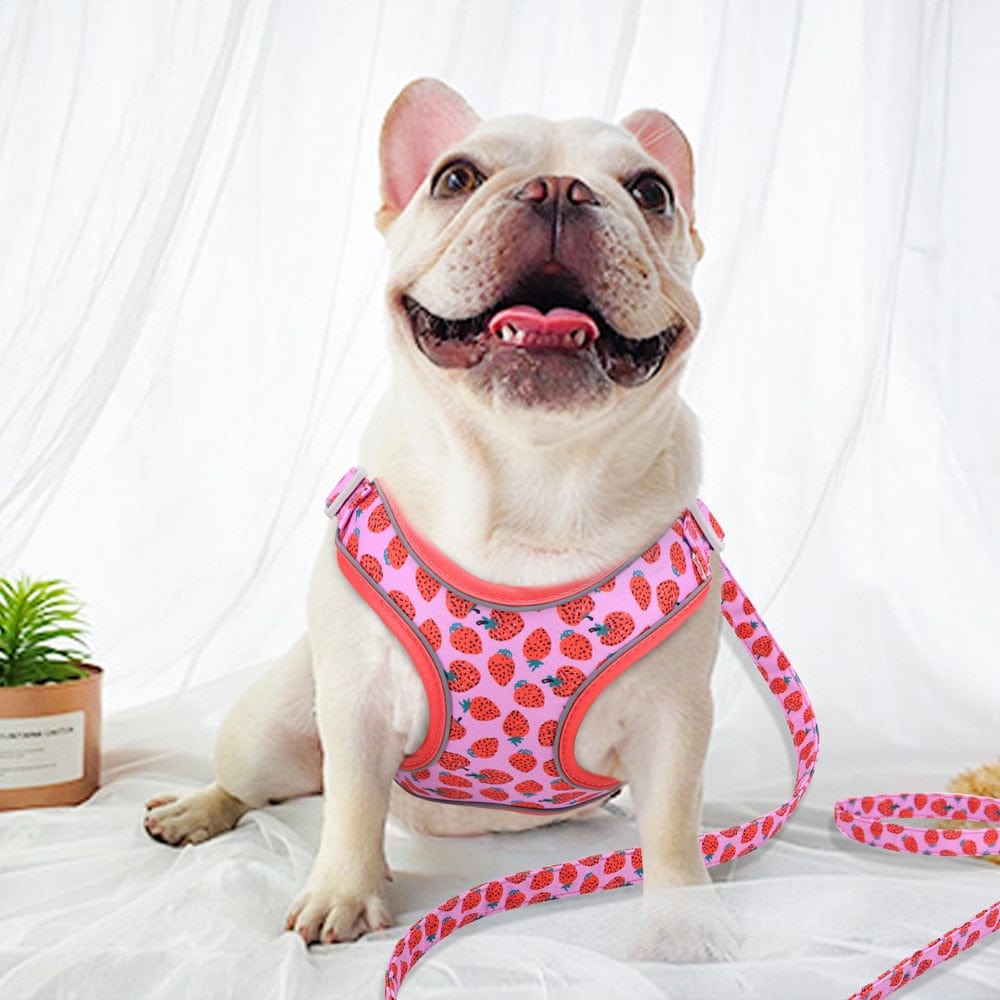 strawberry dog harness - french bulldog
