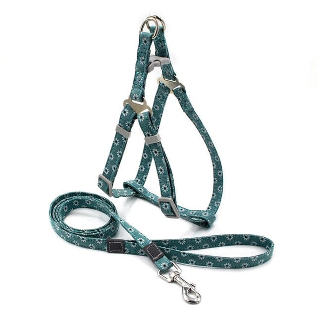 floral dog harness and lead