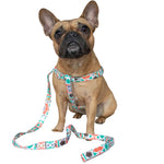 Load image into Gallery viewer, French Bulldog harness - tribal
