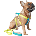 Load image into Gallery viewer, french bulldog harness
