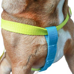 Load image into Gallery viewer, french bulldog harness
