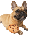 Load image into Gallery viewer, cookie dog toy
