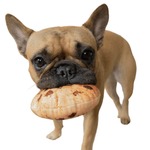 Load image into Gallery viewer, cookie dog toy
