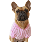Load image into Gallery viewer, dog cardigan - french bulldog
