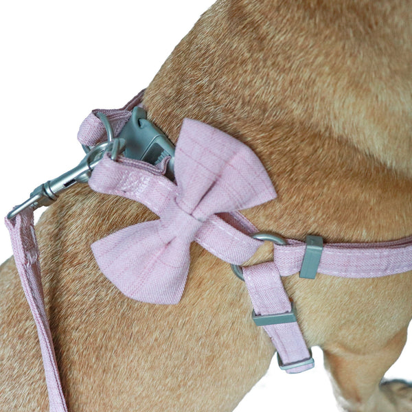 Cute Bow Harness & Leash Set - Pink
