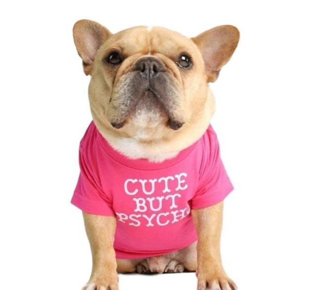  french bulldog t shirt - cute but psycho pink