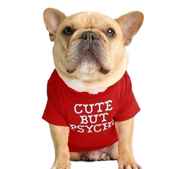  french bulldog t shirt - cute but psycho red