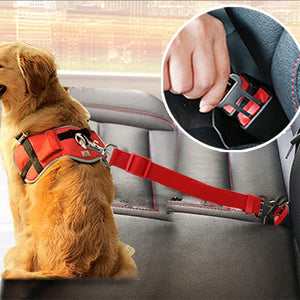dog seat belt canada