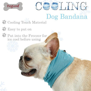 dog cooling bandana