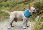 Load image into Gallery viewer, dog cooling bandana - french bulldog
