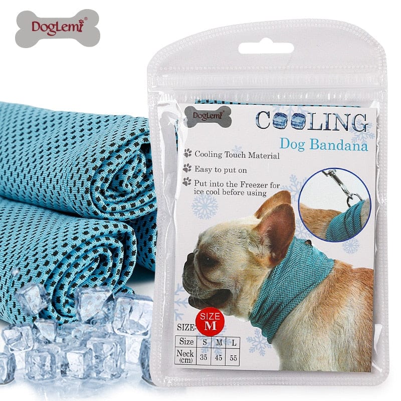 dog cooling bandana