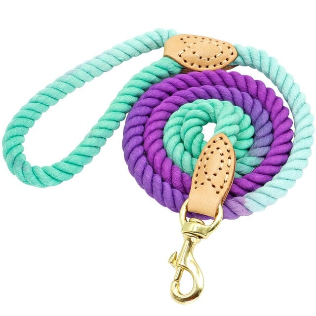 dog rope leash - blue purple 