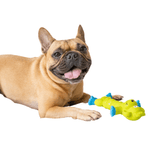 Load image into Gallery viewer, dog rubber squeaky toy - monkey
