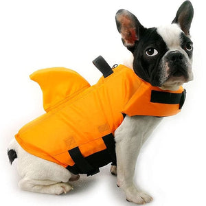 dog shark life jacket - french bulldog