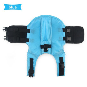 dog shark life jacket - blue
