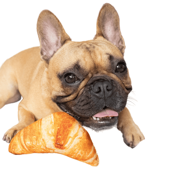 Croissant dog toy paris｜TikTok Search