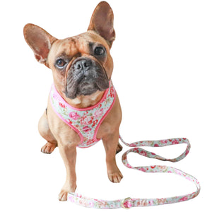 floral dog harness