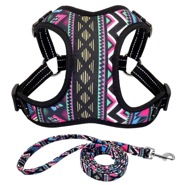 dog harness and leash set - tribal