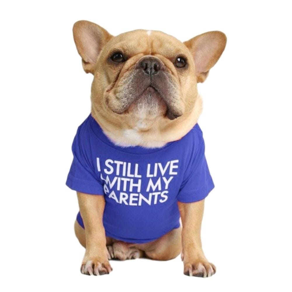 french bulldog t shirt - I still live with my parents blue