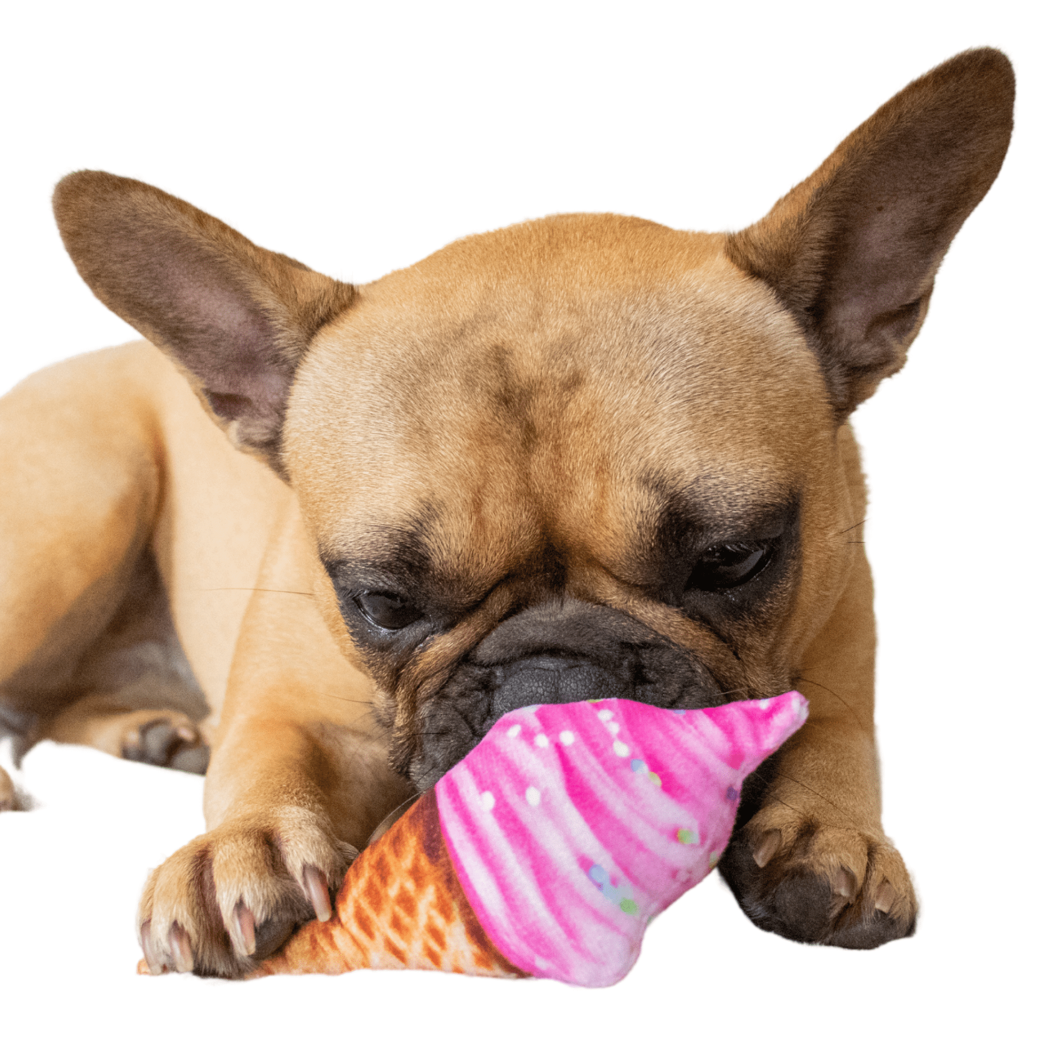 ice cream cone dog toy