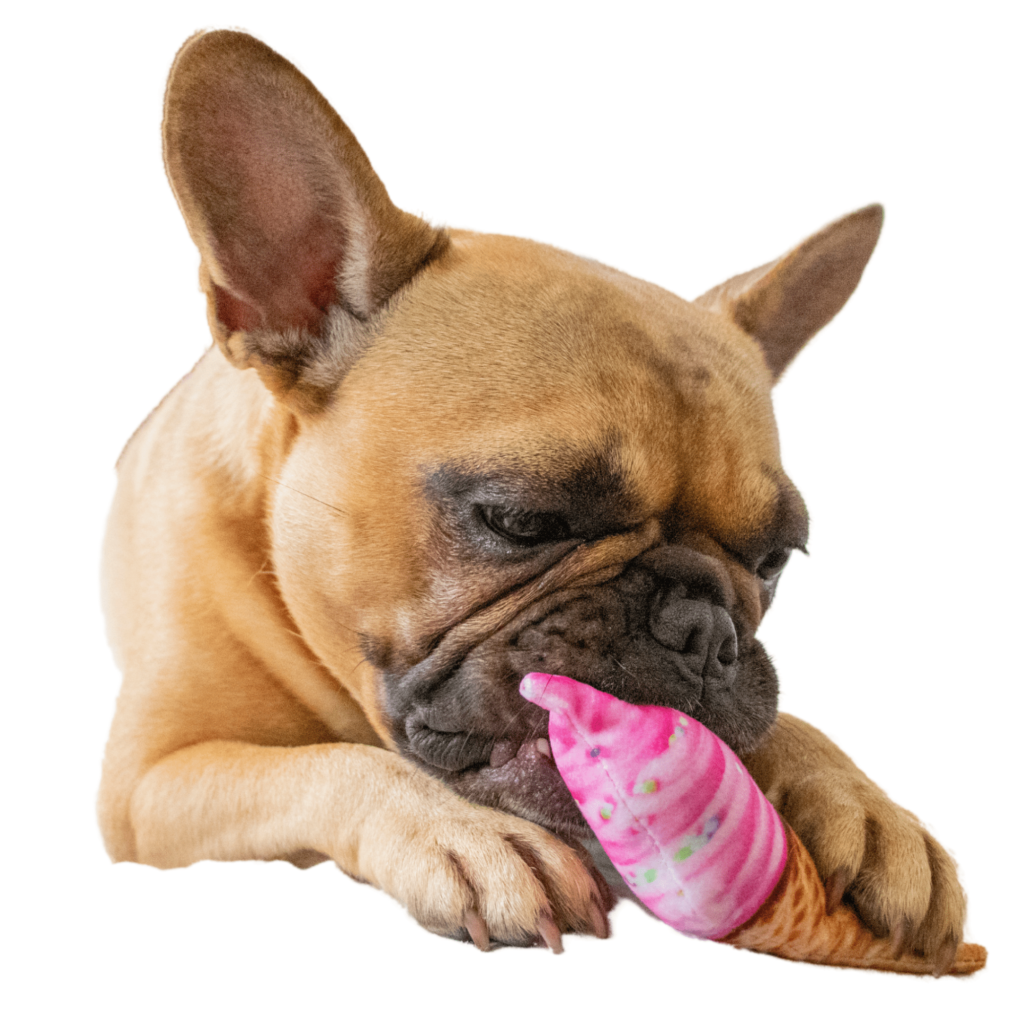 ice cream cone dog toy - french bulldog