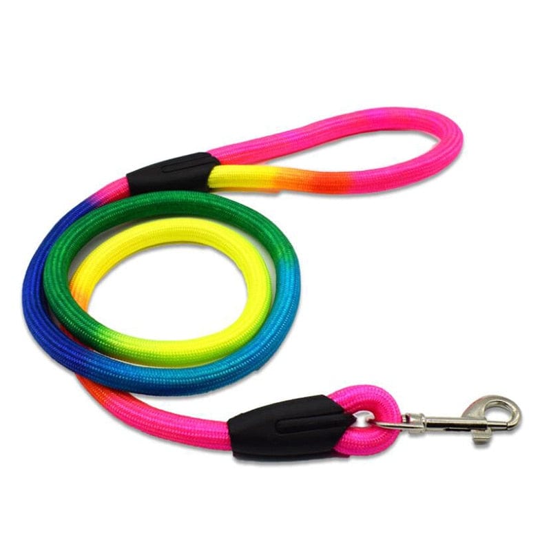 rainbow dog leash