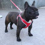 Load image into Gallery viewer, reflective mesh dog harness - french bulldog

