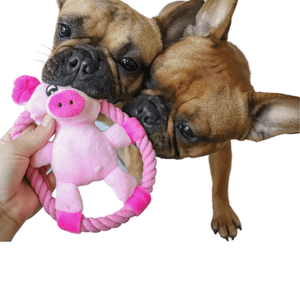 plush pig dog toy - french bulldog