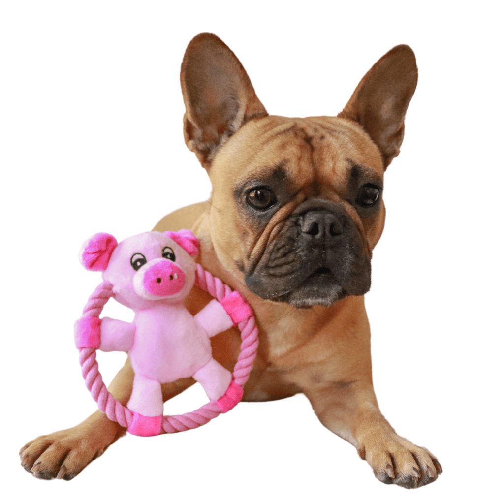 https://mybestfrenchie.com/cdn/shop/products/rope-plush-pig-dog-toy-37116266381569_1024x.png?v=1657350347