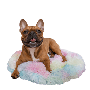 dog floor mat - rainbow french bulldog