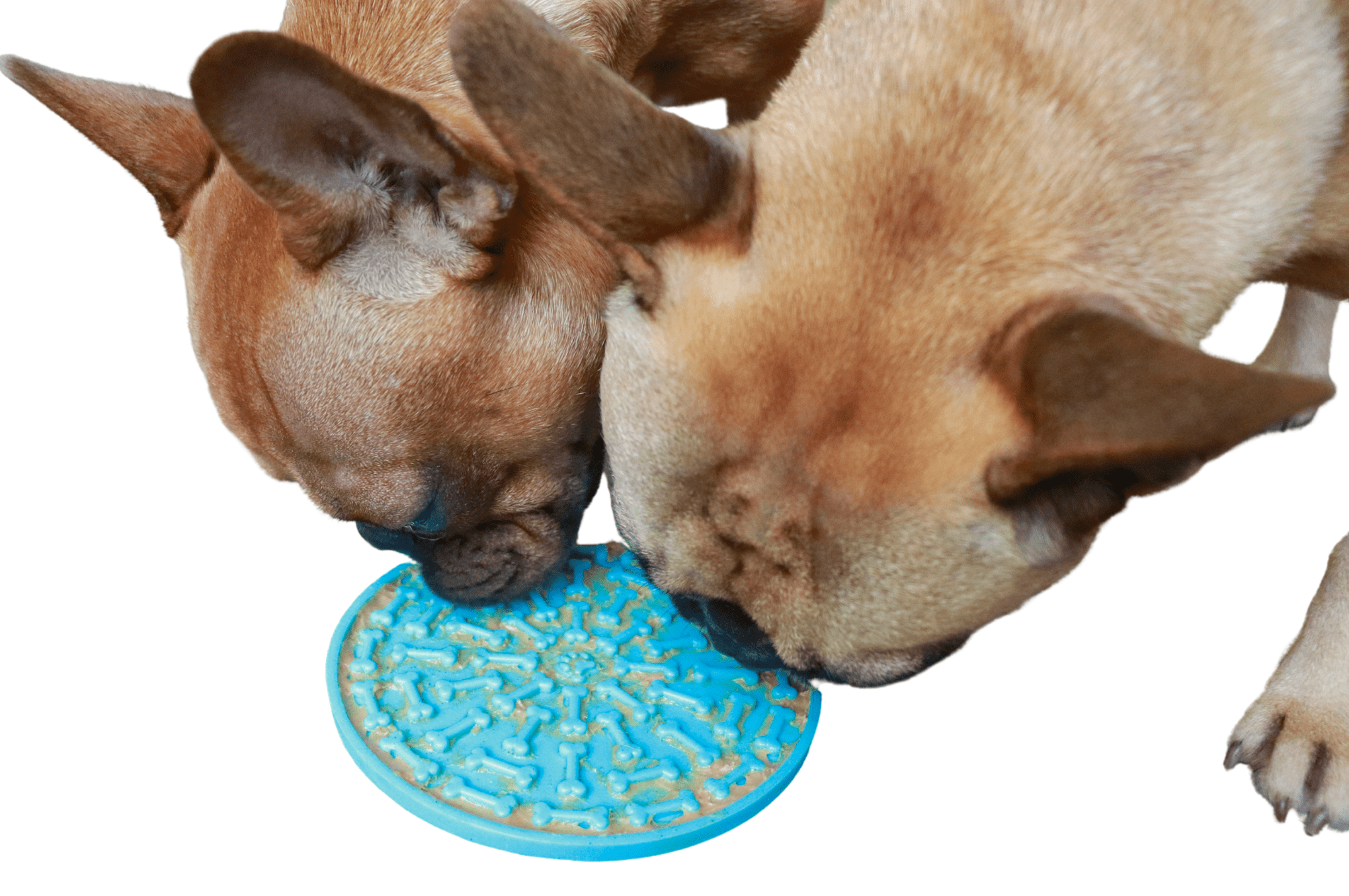 https://mybestfrenchie.com/cdn/shop/products/silicone-bone-dog-lick-mat-4-colors-38255127167233.png?v=1657333975