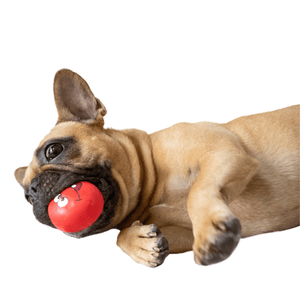 squeaky dog ball
