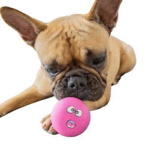 squeaky dog ball
