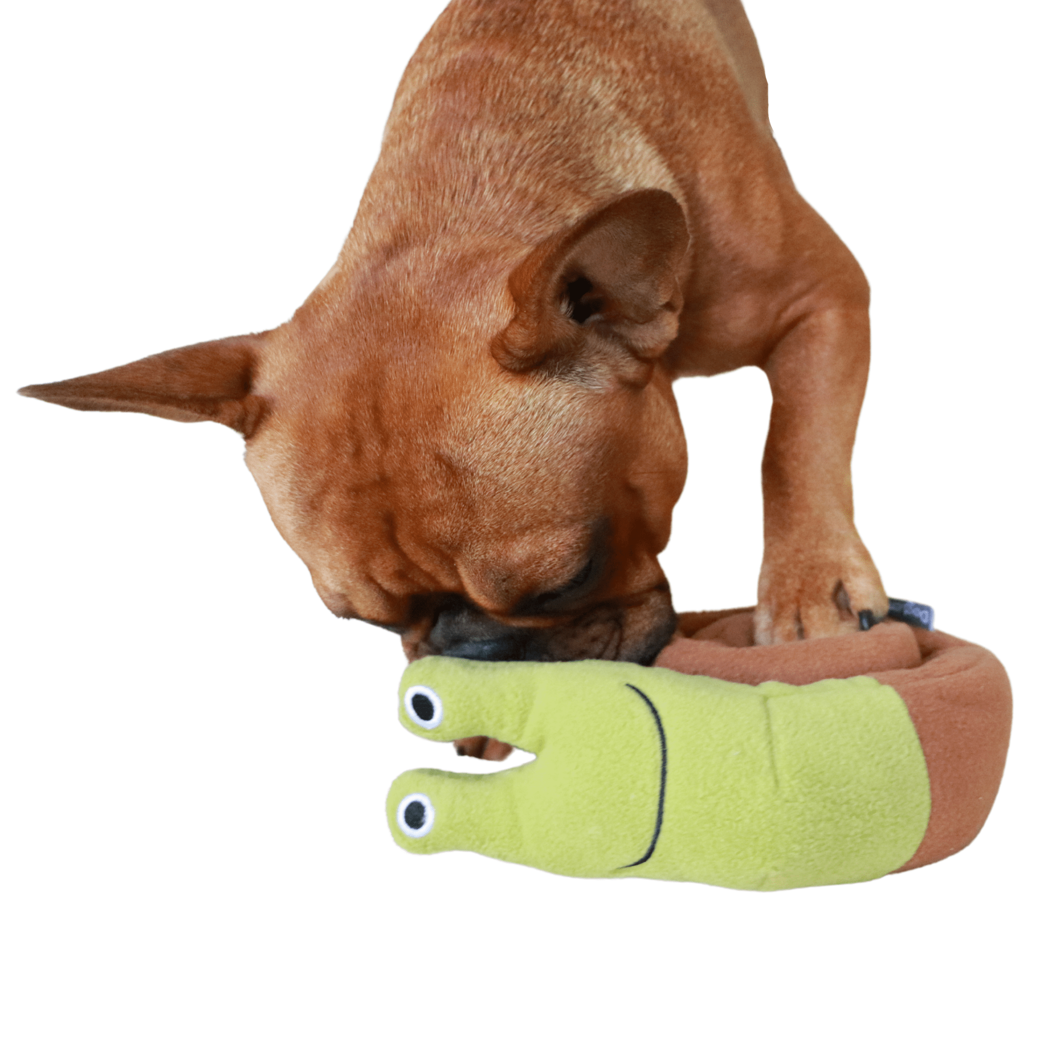 https://mybestfrenchie.com/cdn/shop/products/snail-dog-snuffle-toy-38255510618369.png?v=1657342789