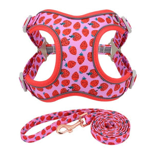 strawberry dog harness