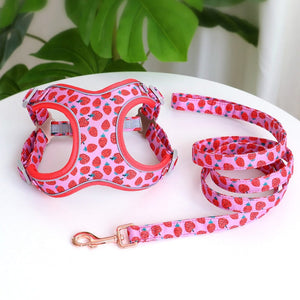 strawberry dog harness