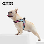 Load image into Gallery viewer, leather dog harness - french bulldog

