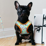 Load image into Gallery viewer, tropical dog harness - french bulldog
