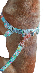 Load image into Gallery viewer, tropical dog harness
