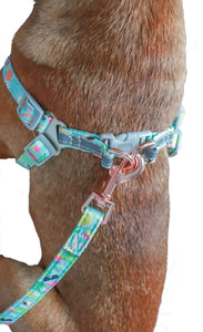 tropical dog harness