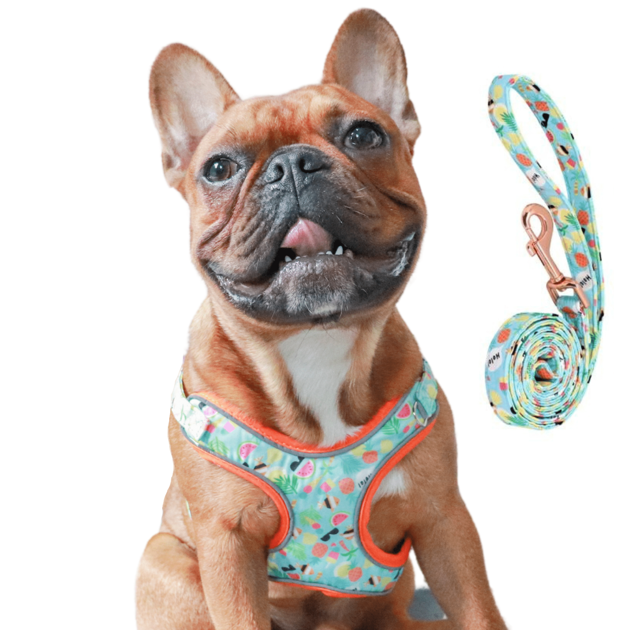 Cute Flower French Bulldog Harness Leash & Collar Set