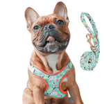 Load image into Gallery viewer, tropical dog harness
